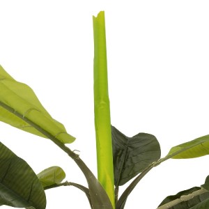 glo-21501-21501_3.webp GLOBOSTAR® ARTIFICIAL GARDEN BANANA TREE 21501 ΤΕΧΝΗΤΟ ΔΙΑΚΟΣΜΗΤΙΚΟ ΔΕΝΤΡΟ ΜΠΑΝΑΝΙΑΣ Υ400C