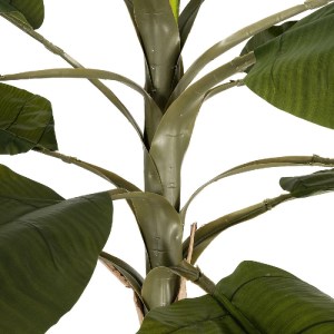 glo-21501-21501_4.webp GLOBOSTAR® ARTIFICIAL GARDEN BANANA TREE 21501 ΤΕΧΝΗΤΟ ΔΙΑΚΟΣΜΗΤΙΚΟ ΔΕΝΤΡΟ ΜΠΑΝΑΝΙΑΣ Υ400C