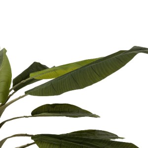 glo-21501-21501_5.webp GLOBOSTAR® ARTIFICIAL GARDEN BANANA TREE 21501 ΤΕΧΝΗΤΟ ΔΙΑΚΟΣΜΗΤΙΚΟ ΔΕΝΤΡΟ ΜΠΑΝΑΝΙΑΣ Υ400C