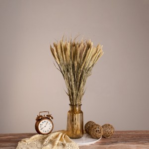 glo-36503-36503_0 GLOBOSTAR® PENNISETUM 36503 ΑΠΟΞΗΡΑΜΕΝΟ ΦΥΤΟ ΠΕΝΝΗΣΙΟ - ΜΠΟΥΚΕΤΟ ΔΙΑΚΟΣΜΗΤΙΚΩΝ ΚΛΑΔΙΩΝ ΜΠΕ