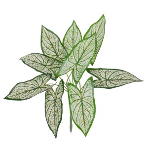 glo-78224-78224_0 GLOBOSTAR® SYNGONIUM 78224 ΤΕΧΝΗΤΟ ΦΥΤΟ ΣΥΓΓΟΝΙΟ - ΜΠΟΥΚΕΤΟ ΔΙΑΚΟΣΜΗΤΙΚΩΝ ΦΥΤΩΝ - ΚΛΑΔΙΩΝ 