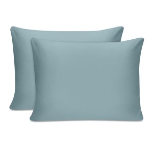 meg-819TNE06113-0 ΜΑΞΙΛΑΡΟΘΗΚΕΣ ΥΠΝΟΥ TONNE COTTON BOX ΣΕΤ 2 ΤΜΧ ΧΡΩΜΑ ΜΕΝΤΑ 50X70ΕΚ.