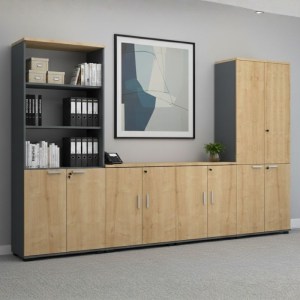 meg-GP028-0146,1-3 ΝΤΟΥΛΑΠΑ ΓΡΑΦΕΙΟΥ ΕΠΑΓΓΕΛΜΑΤΙΚΗ VENTURO MEGAPAP ΧΡΩΜΑ ΑΝΘΡΑΚΙ - ΦΥΣΙΚΟ ΟΞΙΑΣ 80X40X200ΕΚ.