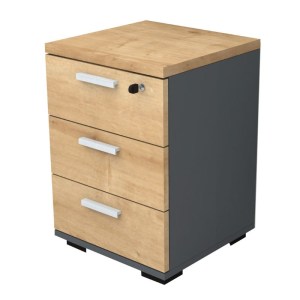 meg-GP028-0149,1-0 ΣΥΡΤΑΡΙΕΡΑ ΓΡΑΦΕΙΟΥ ΕΠΑΓΓΕΛΜΑΤΙΚΗ VENTURO MEGAPAP ΧΡΩΜΑ ΑΝΘΡΑΚΙ - ΦΥΣΙΚΟ ΟΞΙΑΣ 39X40X57ΕΚ.