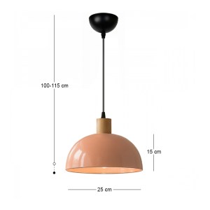meg-GP029-0164,1-2 ΦΩΤΙΣΤΙΚΟ ΟΡΟΦΗΣ TALIS MEGAPAP E27 ΜΕΤΑΛΛΙΚΟ ΜΟΝΟΦΩΤΟ ΧΡΩΜΑ SALMON Ø25X100ΕΚ.