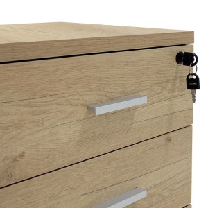 pak-069-000018-5 ΣΥΡΤΑΡΙΕΡΑ ΤΡΟΧΗΛΑΤΗ LOTUS PAKOWORLD 3ΩΝ ΣΥΡΤΑΡΙΩΝ ΦΥΣΙΚΟ-ΑΝΘΡΑΚΙ ΧΡΩΜΑ 40X47X55ΕΚ