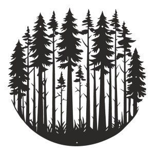 pak-120-000640 ΔΙΑΚΟΣΜΗΤΙΚΟ ΤΟΙΧΟΥ FOREN PAKOOWORLD ΜΑΥΡΟ ΜΕΤΑΛΛΙΚΟ Φ50X1,5ΕΚ