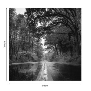 pak-176-000168-1 ΠΙΝΑΚΑΣ ΣΕ ΚΑΜΒΑ SAVGONE PAKOWORLD ΨΗΦΙΑΚΗΣ ΕΚΤΥΠΩΣΗΣ 50X1.8X50ΕΚ