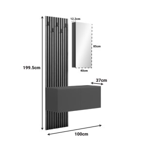 pak-230-000088-6 ΕΠΙΠΛΟ ΕΙΣΟΔΟΥ ΜΕ ΚΑΘΡΕΠΤΗ ARIKA PAKOWORLD  ΣΕ OAK-ΑΝΘΡΑΚΙ ΑΠΟΧΡΩΣΗ 100X37.1X199.5ΕΚ