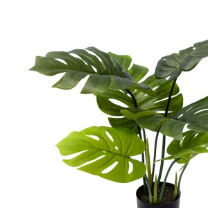 pak-316-000003-1 ΔΙΑΚΟΣΜΗΤΙΚΟ ΦΥΤΟ MONSTERA ΣΕ ΓΛΑΣΤΡΑ INART ΠΡΑΣΙΝΟ PP Υ70ΕΚ