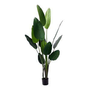 pak-316-000035 ΔΙΑΚΟΣΜΗΤΙΚΟ ΦΥΤΟ PALM TREE ΣΕ ΓΛΑΣΤΡΑ INART ΠΡΑΣΙΝΟ PP Υ180ΕΚ