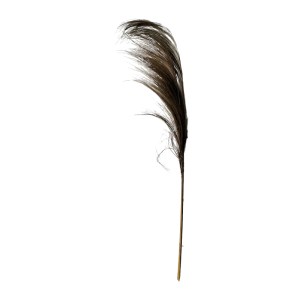 pak-335-000017 ΔΙΑΚΟΣΜΗΤΙΚΟ ΦΥΤΟ PAMPASION PAKOWORLD ALANG-ALANG ΣΕ ΦΥΣΙΚΗ ΑΠΟΧΡΩΣΗ 150ΕΚ