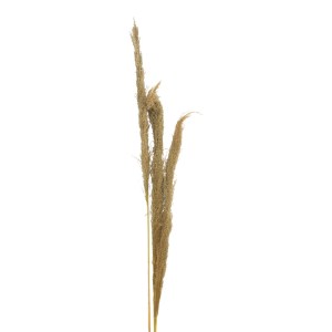pak-343-000109-1 ΔΙΑΚΟΣΜΗΤΙΚΟ ΦΥΤΟ PAMPAS BEROUN INART ΣΕΤ ΤΩΝ 3ΤΕΜ ΣΕ ΦΥΣΙΚΗ ΑΠΟΧΡΩΣΗ Υ140ΕΚ
