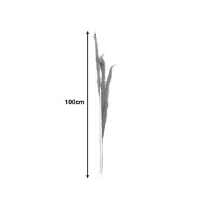 pak-343-000109-2 ΔΙΑΚΟΣΜΗΤΙΚΟ ΦΥΤΟ PAMPAS BEROUN INART ΣΕΤ ΤΩΝ 3ΤΕΜ ΣΕ ΦΥΣΙΚΗ ΑΠΟΧΡΩΣΗ Υ140ΕΚ