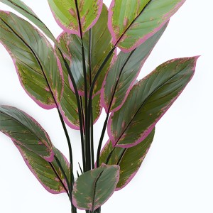 pak-391-000005-1 ΔΙΑΚΟΣΜΗΤΙΚΟ ΦΥΤΟ ΣΕ ΓΛΑΣΤΡΑ CALATHEA INART ΠΡΑΣΙΝΟ Φ68X120ΕΚ