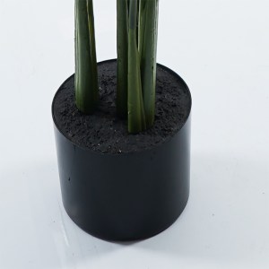 pak-391-000005-2 ΔΙΑΚΟΣΜΗΤΙΚΟ ΦΥΤΟ ΣΕ ΓΛΑΣΤΡΑ CALATHEA INART ΠΡΑΣΙΝΟ Φ68X120ΕΚ