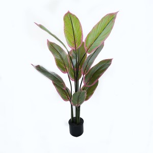 pak-391-000005 ΔΙΑΚΟΣΜΗΤΙΚΟ ΦΥΤΟ ΣΕ ΓΛΑΣΤΡΑ CALATHEA INART ΠΡΑΣΙΝΟ Φ68X120ΕΚ
