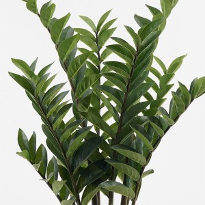 pak-391-000019-1 ΔΙΑΚΟΣΜΗΤΙΚΟ ΦΥΤΟ ΣΕ ΓΛΑΣΤΡΑ ZAMIA INART ΠΡΑΣΙΝΟ Φ52X88ΕΚ