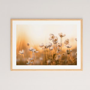 pak-409-000003 ΠΙΝΑΚΑΣ FLORAZA PAKOWORLD ΜΕ ΨΗΦΙΑΚΗ ΕΚΤΥΠΩΣΗ ΚΑΙ ΠΛΑΙΣΙΟ 48X1.5X33ΕΚ