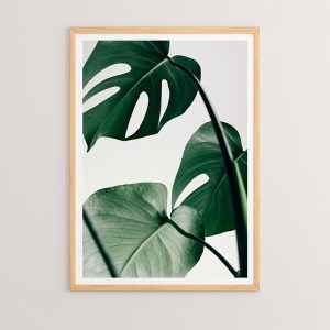pak-409-000031 ΠΙΝΑΚΑΣ LEAFY PAKOWORLD ΜΕ ΨΗΦΙΑΚΗ ΕΚΤΥΠΩΣΗ ΚΑΙ ΠΛΑΙΣΙΟ 33X1.5X48ΕΚ