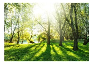 pol-161081819 ΦΩΤΟΤΑΠΕΤΣΑΡΙΑ - SUNNY MAY DAY 300X210