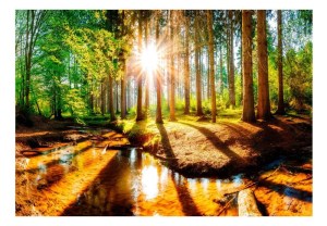 pol-161086549 ΦΩΤΟΤΑΠΕΤΣΑΡΙΑ - MARVELOUS FOREST 250X175