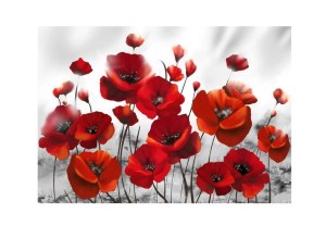 pol-161187229 ΦΩΤΟΤΑΠΕΤΣΑΡΙΑ - POPPIES IN THE MOONLIGHT