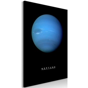 pol-161317819 ΠΙΝΑΚΑΣ - NEPTUNE (1 PART) VERTICAL