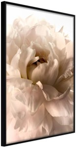 pol-161692379 ΑΦΙΣΑ - BLOOM - 40X60 - ΜΑΥΡΟ - ΧΩΡΙΣ ΠΑΣΠΑΡΤΟΥ