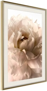 pol-161692469 ΑΦΙΣΑ - BLOOM - 30X45 - ΧΡΥΣΟ - ΜΕ ΠΑΣΠΑΡΤΟΥ