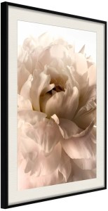 pol-161692509 ΑΦΙΣΑ - BLOOM - 20X30 - ΜΑΥΡΟ - ΜΕ ΠΑΣΠΑΡΤΟΥ