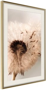 pol-161834849 ΑΦΙΣΑ - PIECE OF THE SUMMER - 20X30 - ΧΡΥΣΟ - ΜΕ ΠΑΣΠΑΡΤΟΥ