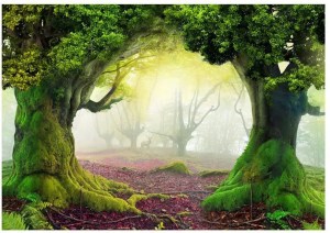 pol-161962209 ΑΥΤΟΚΟΛΛΗΤΗ ΦΩΤΟΤΑΠΕΤΣΑΡΙΑ - ENCHANTED FOREST - 343X245