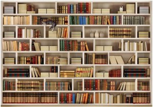 pol-161971549 ΑΥΤΟΚΟΛΛΗΤΗ ΦΩΤΟΤΑΠΕΤΣΑΡΙΑ - HOME LIBRARY - 441X315