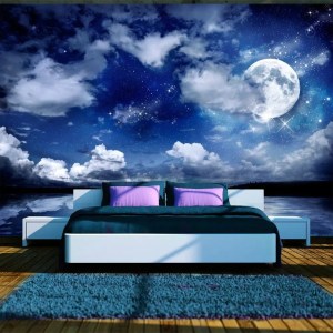 pol-161976569 ΑΥΤΟΚΟΛΛΗΤΗ ΦΩΤΟΤΑΠΕΤΣΑΡΙΑ - MAGIC NIGHT - 343X245