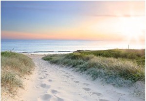 pol-161979829 ΑΥΤΟΚΟΛΛΗΤΗ ΦΩΤΟΤΑΠΕΤΣΑΡΙΑ - MORNING WALK ON THE BEACH - 392X280