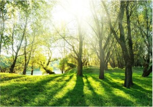 pol-161998749 ΑΥΤΟΚΟΛΛΗΤΗ ΦΩΤΟΤΑΠΕΤΣΑΡΙΑ - SUNNY MAY DAY - 294X210