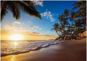 pol-162001659 ΑΥΤΟΚΟΛΛΗΤΗ ΦΩΤΟΤΑΠΕΤΣΑΡΙΑ - TROPICAL BEACH - 392X280