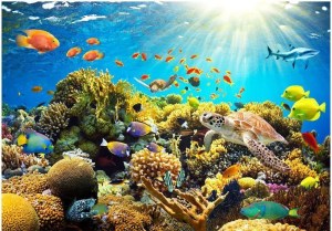 pol-162002729 ΑΥΤΟΚΟΛΛΗΤΗ ΦΩΤΟΤΑΠΕΤΣΑΡΙΑ - UNDERWATER LAND - 147X105