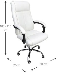 pol-162883549 ΚΑΡΕΚΛΑ ΔΙΕΥΘΥΝΤΙΚΗ BLACKTHORN-LEUKO