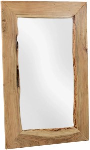 pol-162907199 ΚΑΘΡΕΠΤΗΣ ECLIPTA