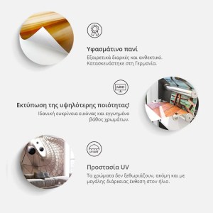 pol-16986339 ΦΩΤΟΤΑΠΕΤΣΑΡΙΑ - NIGHT EXPEDITION 250X175