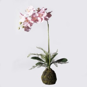 sg-0170-6 SUPERGREENS ΤΕΧΝΗΤΟ ΦΥΤΟ ΟΡΧΙΔΕΑ PHALAENOPSIS REAL TOUCH ΡΟΖ ΜΕ ΒΑΣΗ MOSS 60 ΕΚ.