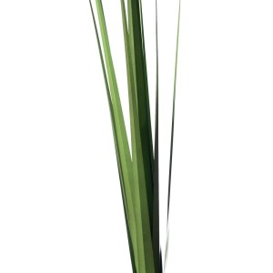 sg-0181-7 SUPERGREENS ΤΕΧΝΗΤΟΣ ΧΩΝΕΥΤΟΣ ΠΑΠΥΡΟΣ ″CYPERUS″ ΠΡΑΣΙΝΟΣ 88 ΕΚ.