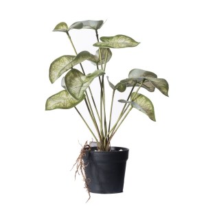 sg-0260-6 SUPERGREENS ΤΕΧΝΗΤΟ ΦΥΤΟ ΚΑΛΑΔΙΟ CANDIDUM ″JUNIOR″ ΠΡΑΣΙΝΟ 37 ΕΚ.