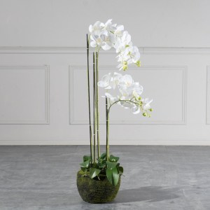 sg-0401-6 SUPERGREENS ΤΕΧΝΗΤΟ ΦΥΤΟ ΟΡΧΙΔΕΑ PHALAENOPSIS ΛΕΥΚΟ 110 ΕΚ.