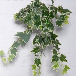 sg-0502-7 SUPERGREENS ΤΕΧΝΗΤΟΣ ΚΡΕΜΑΣΤΟΣ ΚΙΣΣΟΣ ΠΑΝΑΣΕ ΠΡΑΣΙΝΟΣ 65 ΕΚ.