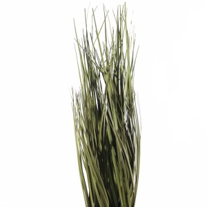 sg-0590-6 SUPERGREENS ΤΕΧΝΗΤΟ ΦΥΤΟ ΧΟΡΤΑΡΙ ΣΤΙΠΑ ″TENUISSIMA″ ΠΡΑΣΙΝΟ 60 ΕΚ.