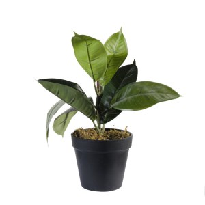 sg-0670-6 SUPERGREENS ΤΕΧΝΗΤΟ ΦΥΤΟ ΦΙΚΟΣ ELASTICA ΠΡΑΣΙΝΟ 30 ΕΚ.