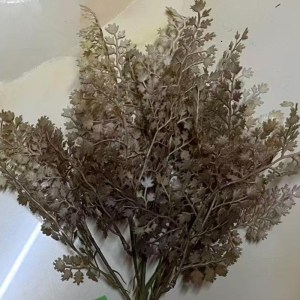 sg-0712-7 SUPERGREENS ΤΕΧΝΗΤΗ ΧΩΝΕΥΤΗ ΦΤΕΡΗ ″LIGHT ROOT″ ΚΑΦΕ 40 ΕΚ.